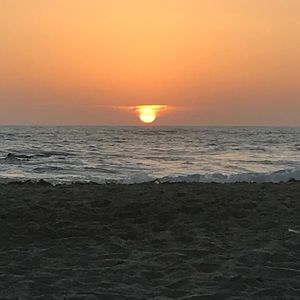 Meet your Posher, Jocelyn